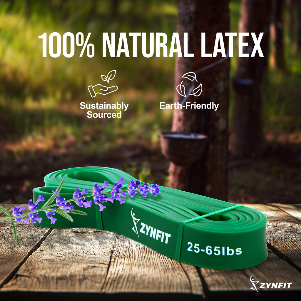 ZYNFIT Pull up Resistance Bands with Door Anchor