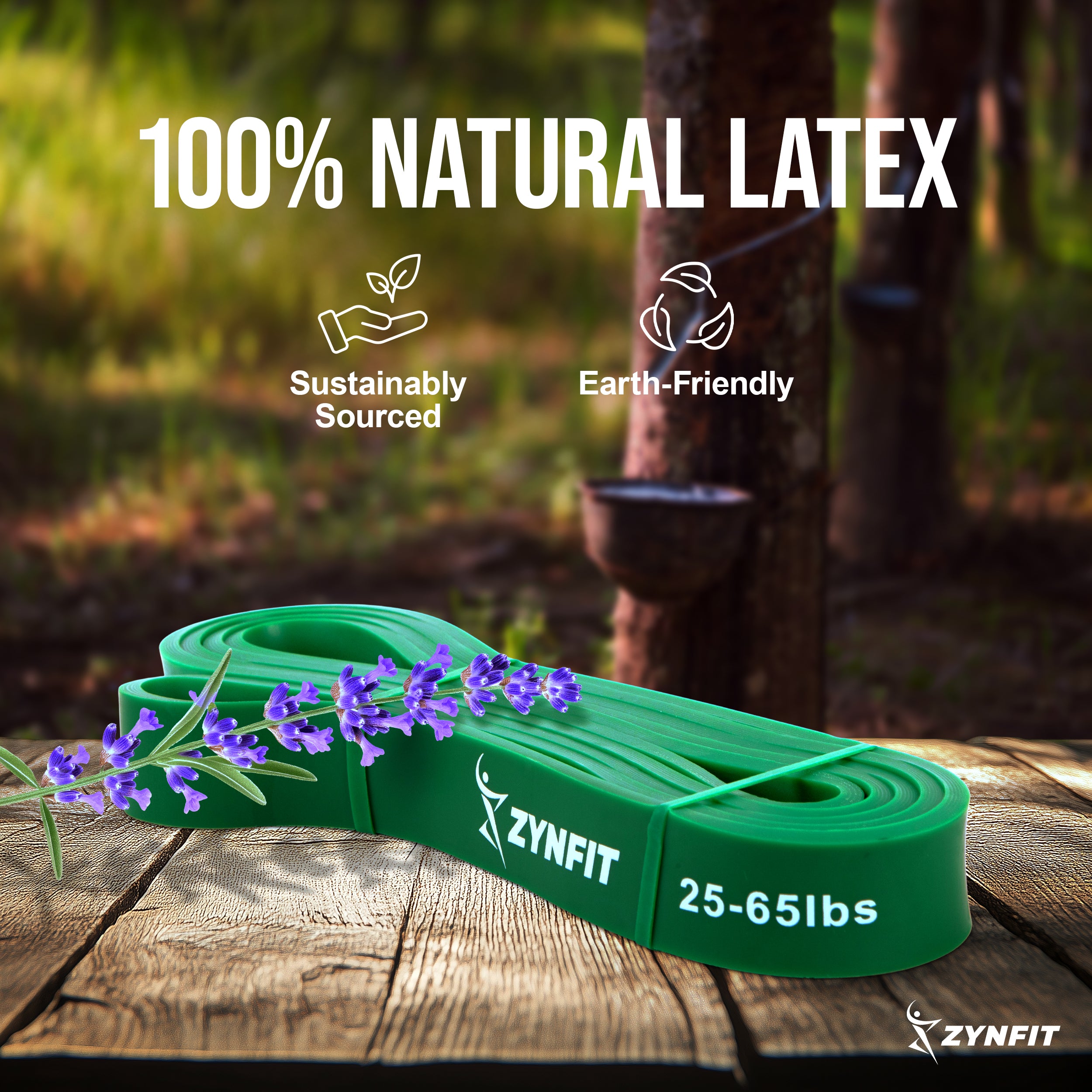 ZYNFIT Pull up Resistance Bands with Door Anchor
